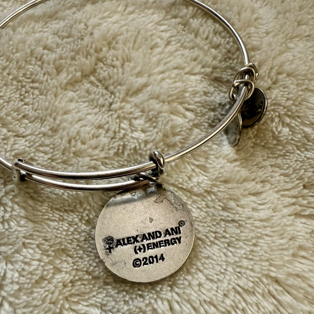 Alex & Ani Caribbean Bangle Adjustable Bangle Bracelet - Picture 3 of 3